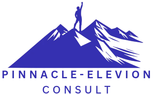 Pinnacle Elevion Consult